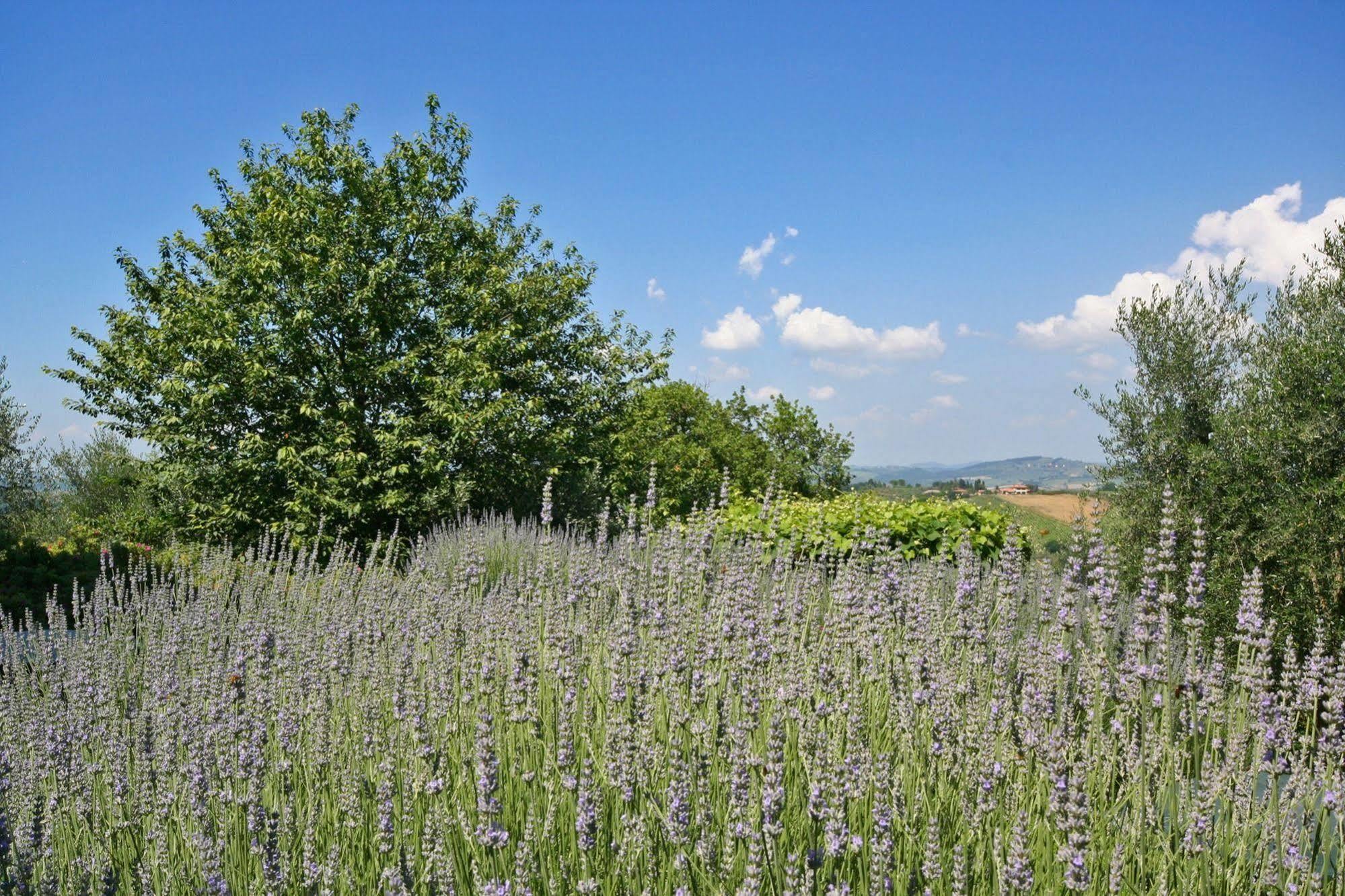 Podere Il Pino Landhaus Poggibonsi